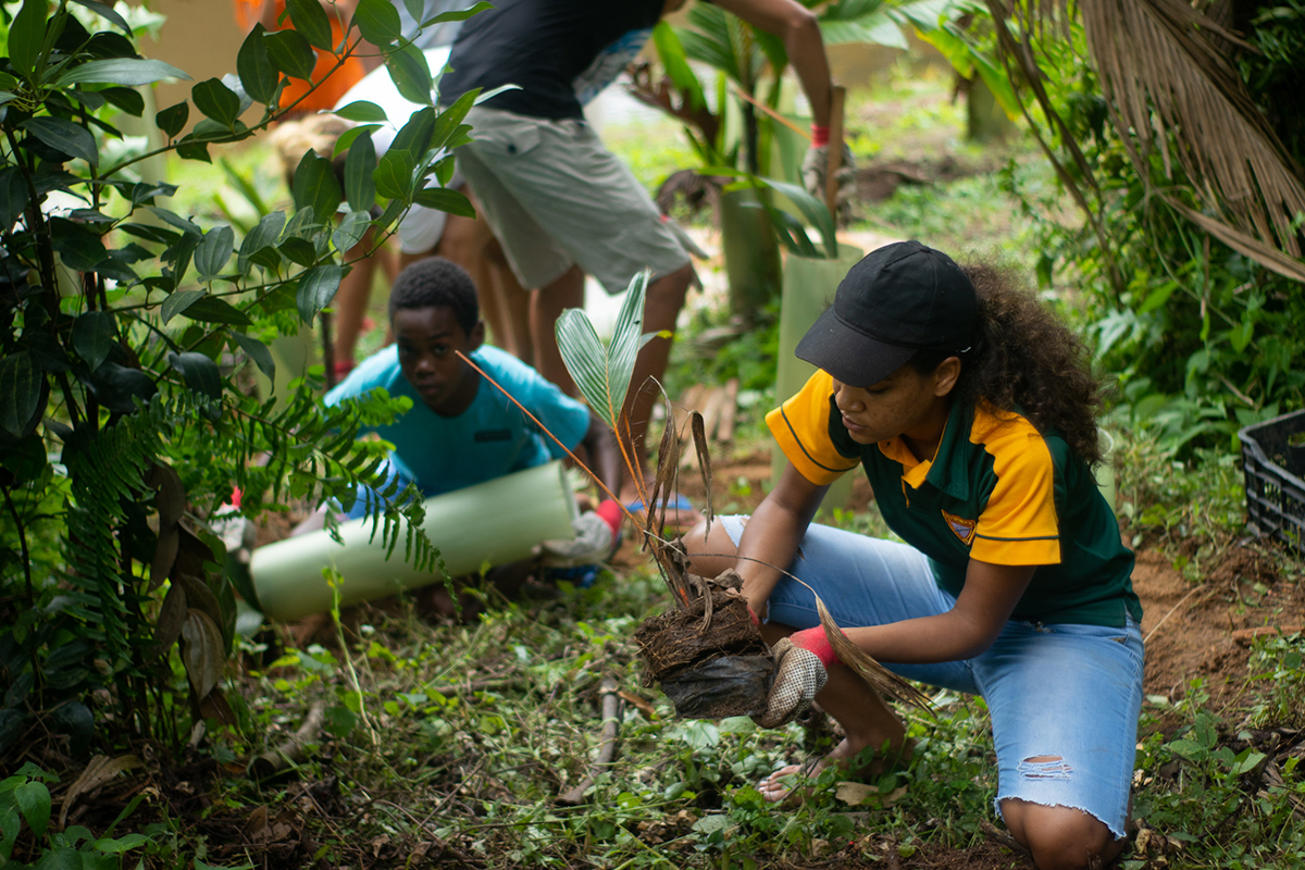 youth planting trees