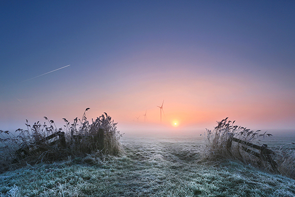 Frost on an open field at dawn with wind turbines in the background.