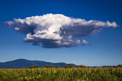 Des nuages dans un ciel bleu