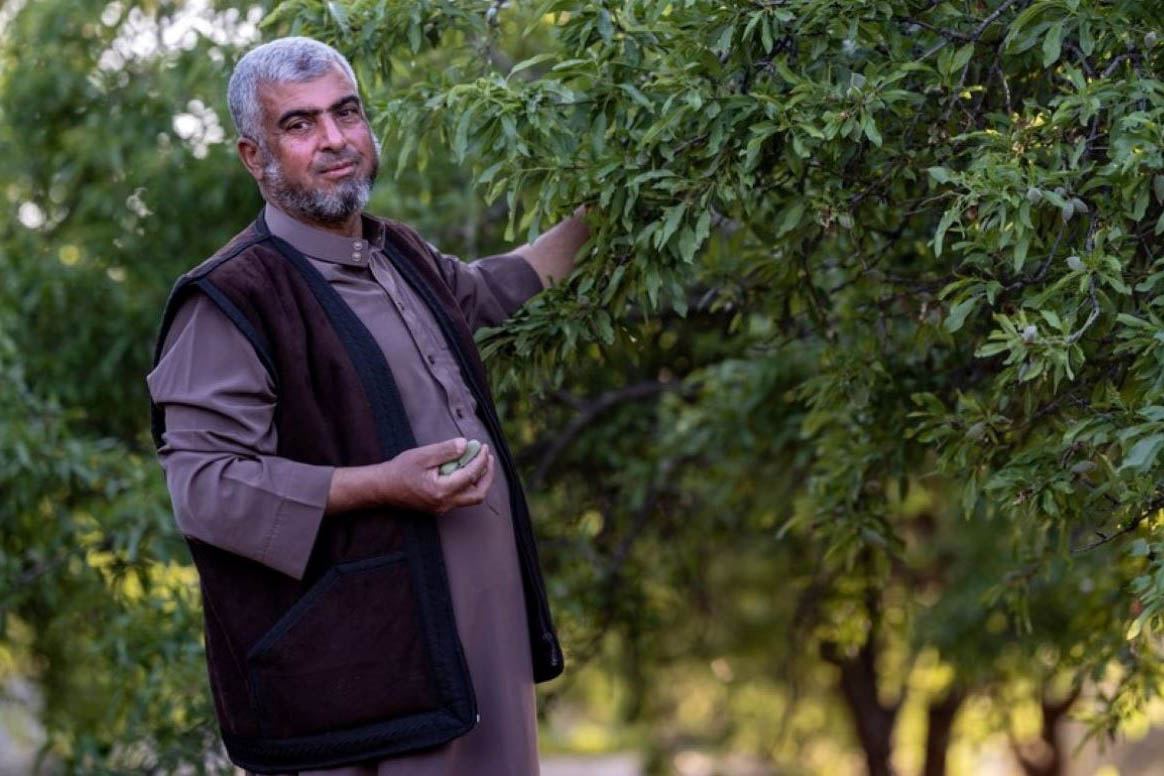 Un agriculteur présente un arbre fruitier