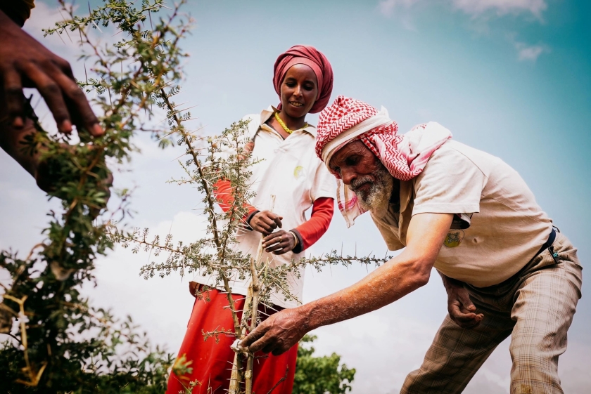 Un homme et une femme plantant un arbre