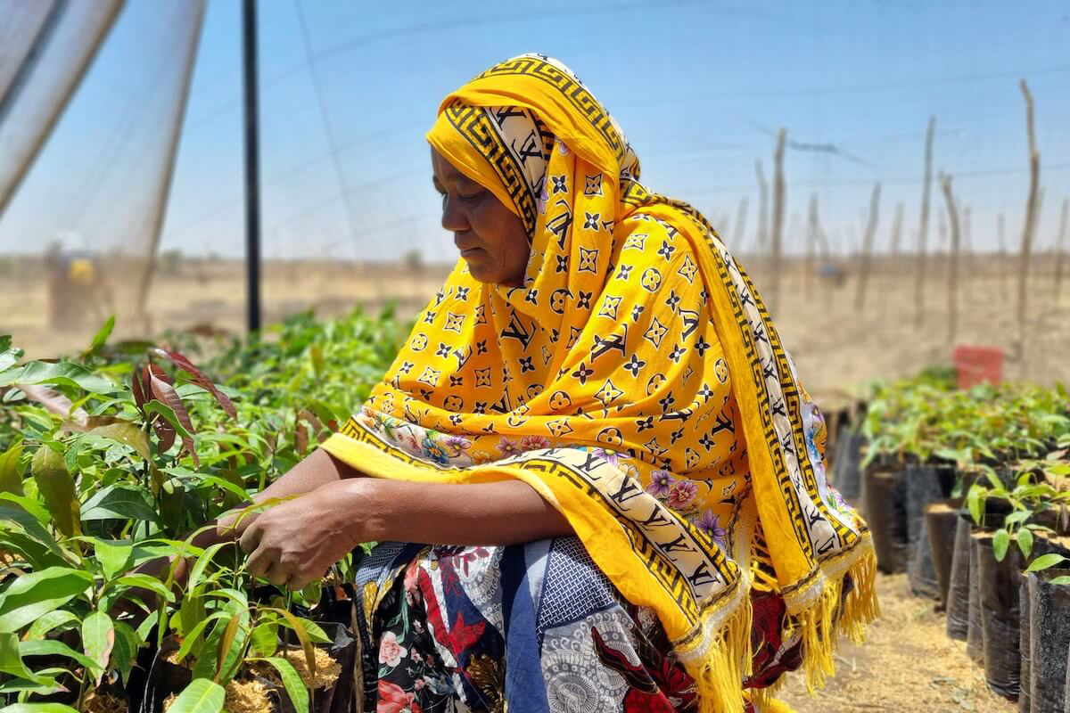 femme agenouillée près d'une rangée de plantes