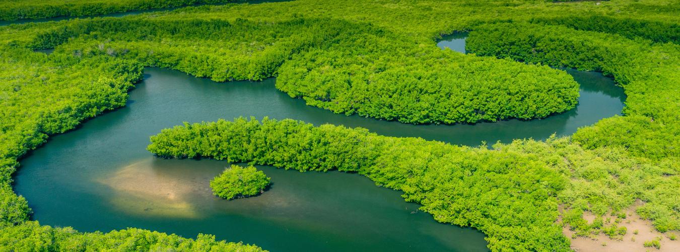  Aerial view of Amazon rainforest in Brazil, South America.