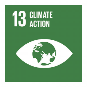 Sustainable Development Goal 13