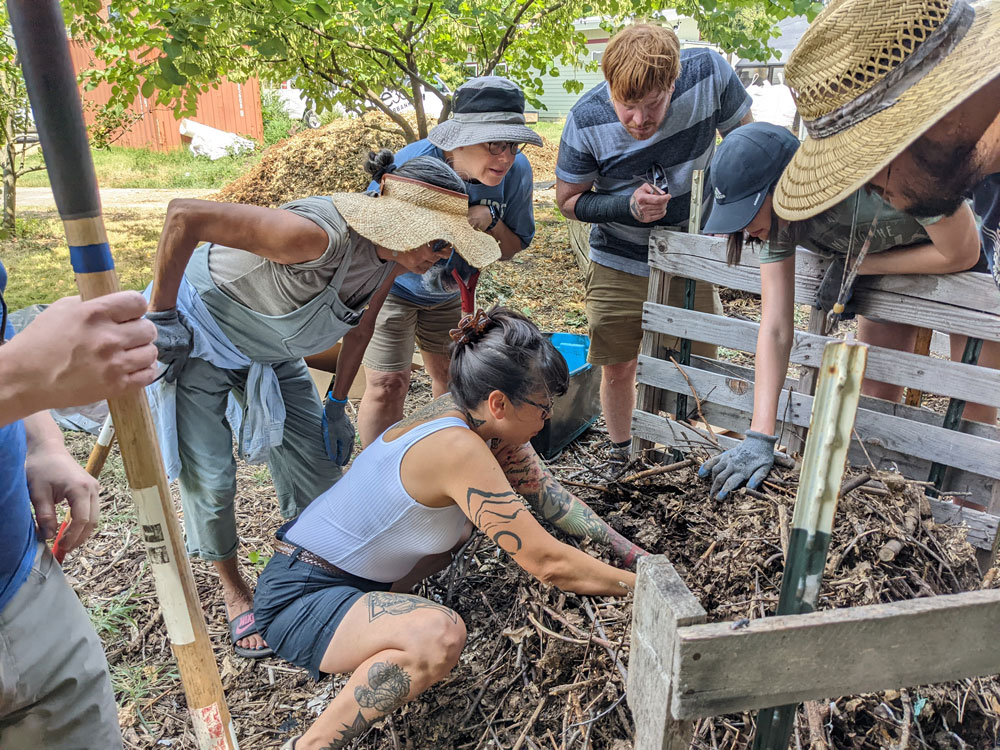 People working in a garden