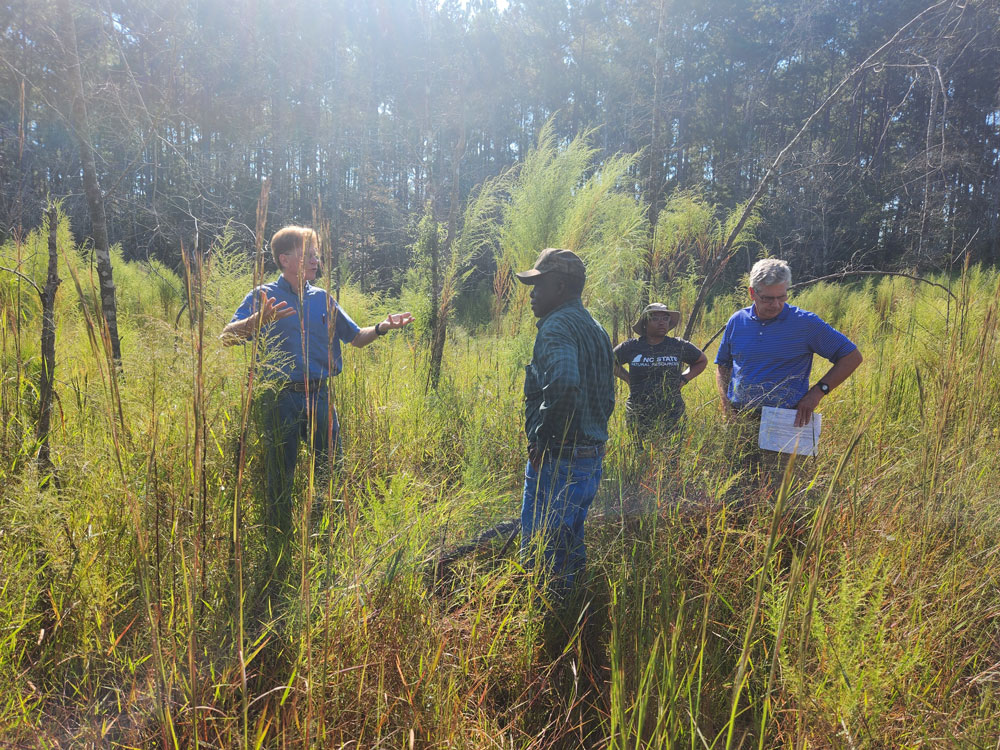 People talking near a forest