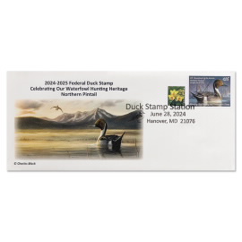Northern Pintail 2024-2025 Heritage Cachet