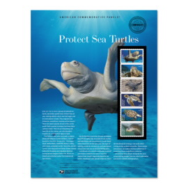 Protect Sea Turtles American Commemorative Panel®