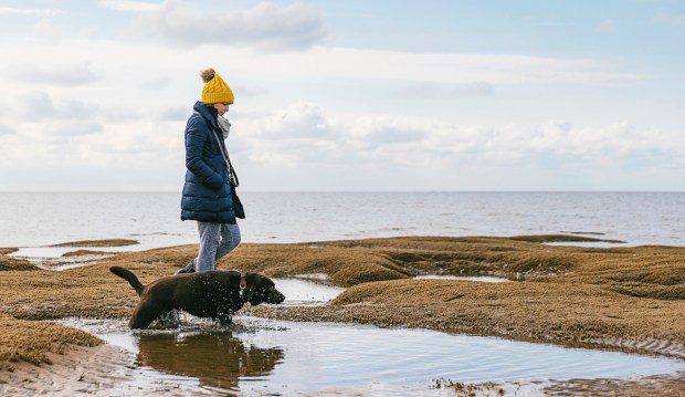 The 11 Best Portable Dog Bowls To Keep Your Furry Friend Hydrated on Every Adventure