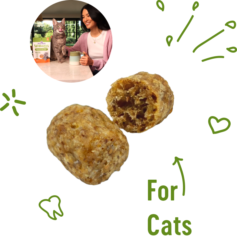 Treats for Cats