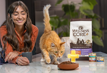 Wellness Core Plus for cats. Core+ for cats.