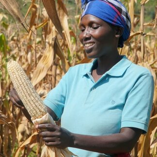 A farmer holds harvested maize in Gisagara District, southern Rwanda. WFP supports smallholder farmer organizations, by enhancing their governance, reducing post-harvest losses, and linking them to markets. Photo: WFP/JohnPaul SESONGA