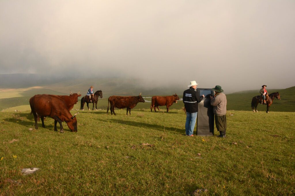 ©OIE/F.Dias