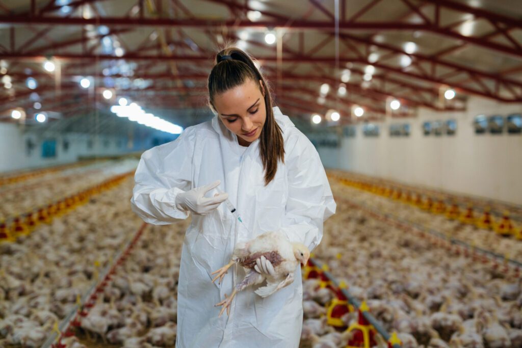 Avian Influenza prevention