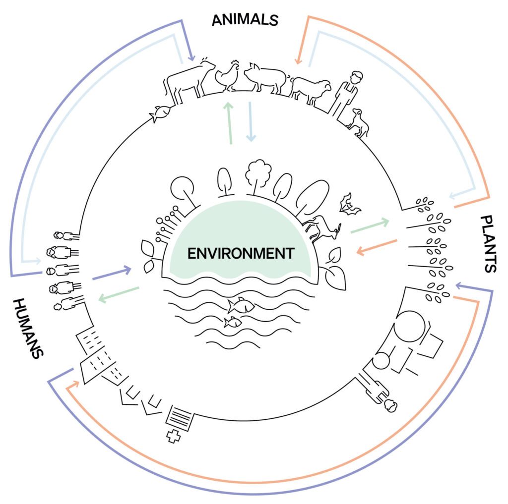 A visual concept of the One Health approach