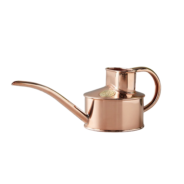 Mini Watering Can