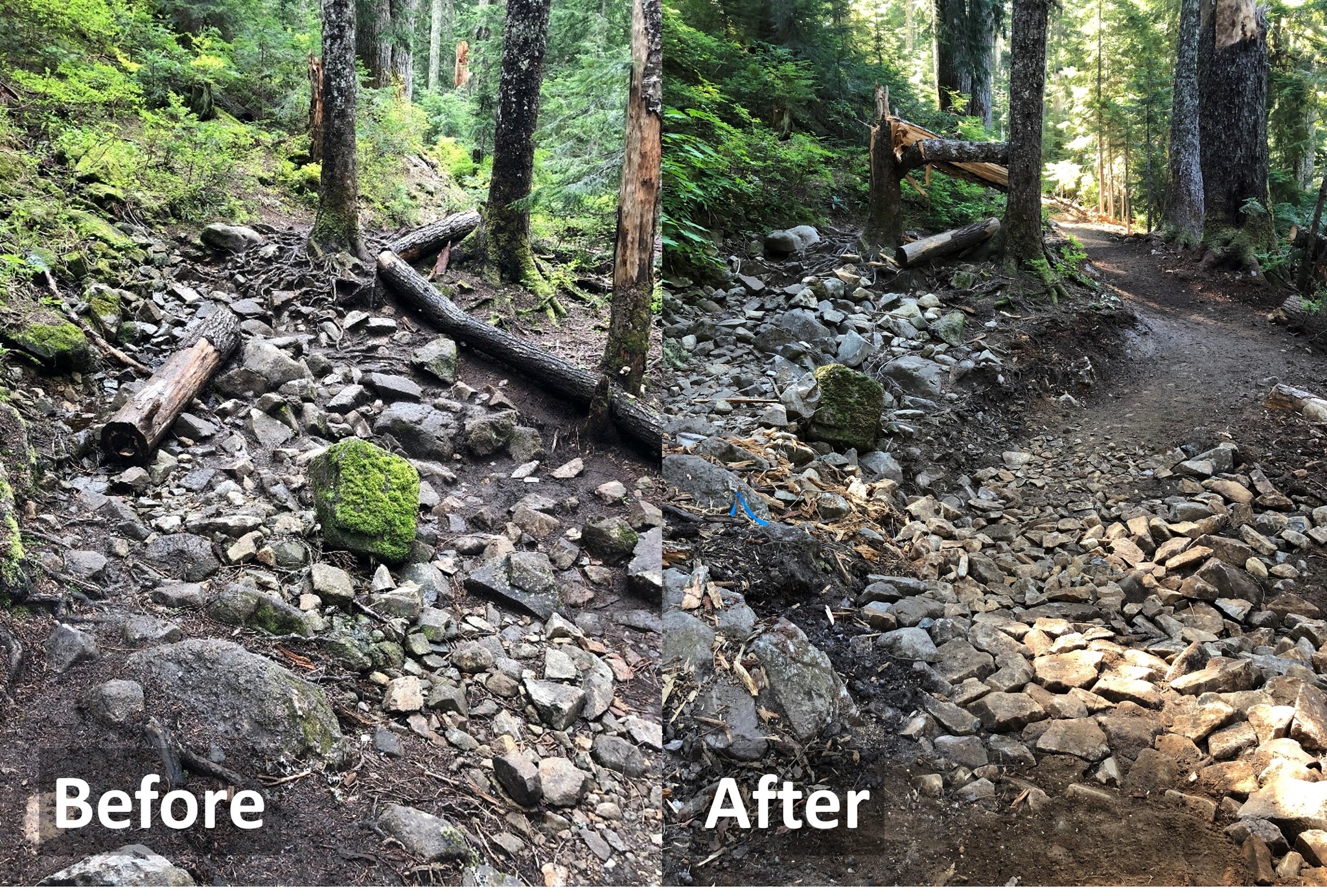 Photo at left of rocks and fallen logs labeled "before". Photo at right of same spot with smooth trail surface labeled "after". 