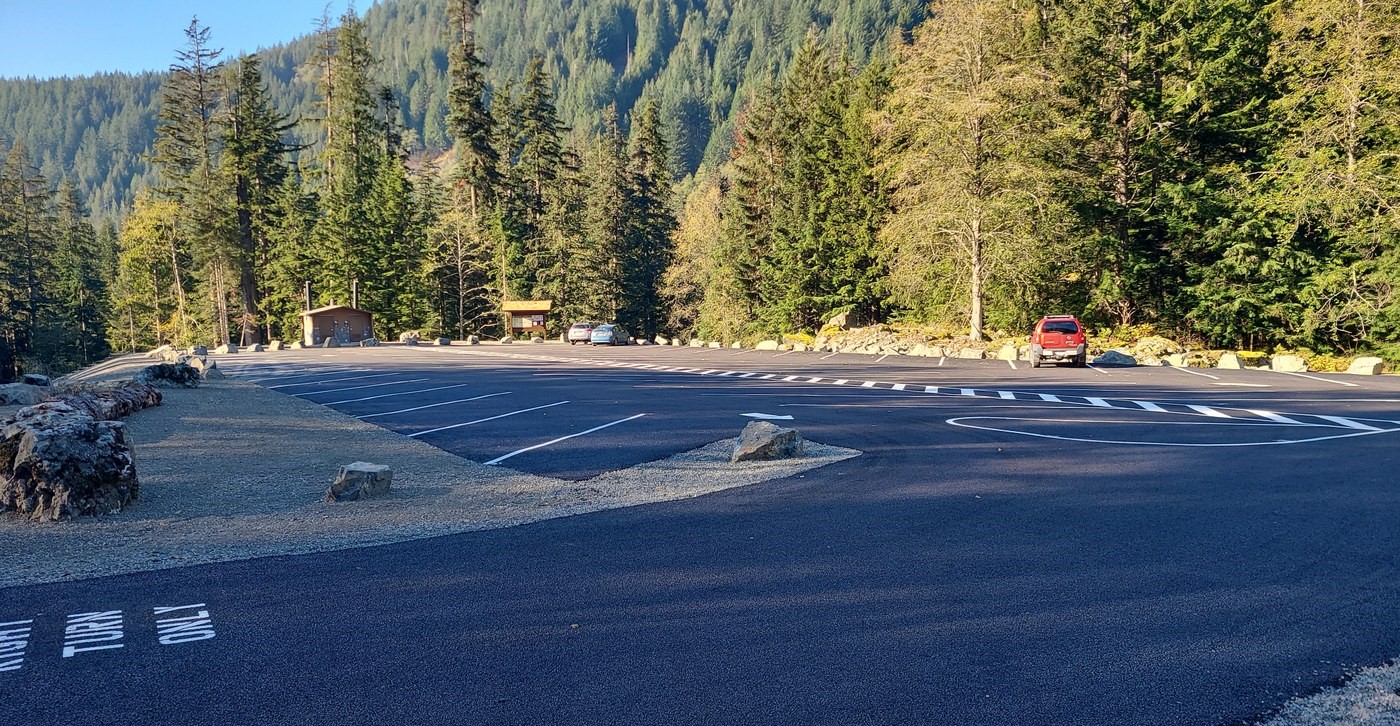 Sun shines on trees surrounding a smooth, newly painted parking lot