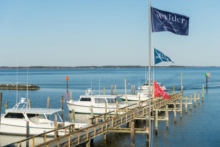 Dock with fishing boats