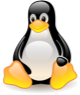 Linux terminal